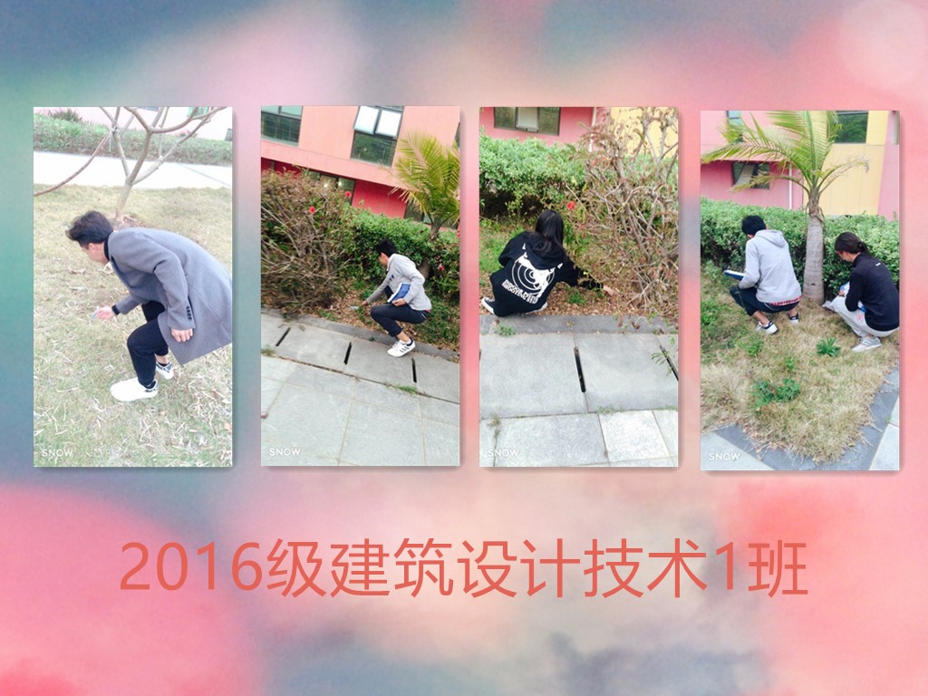 鍥剧墖浜�.jpg